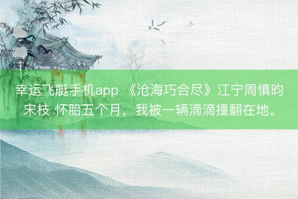 幸运飞艇手机app 《沧海巧合尽》江宁周慎昀宋枝 怀胎五个月,我被一辆滴滴撞翻在地。